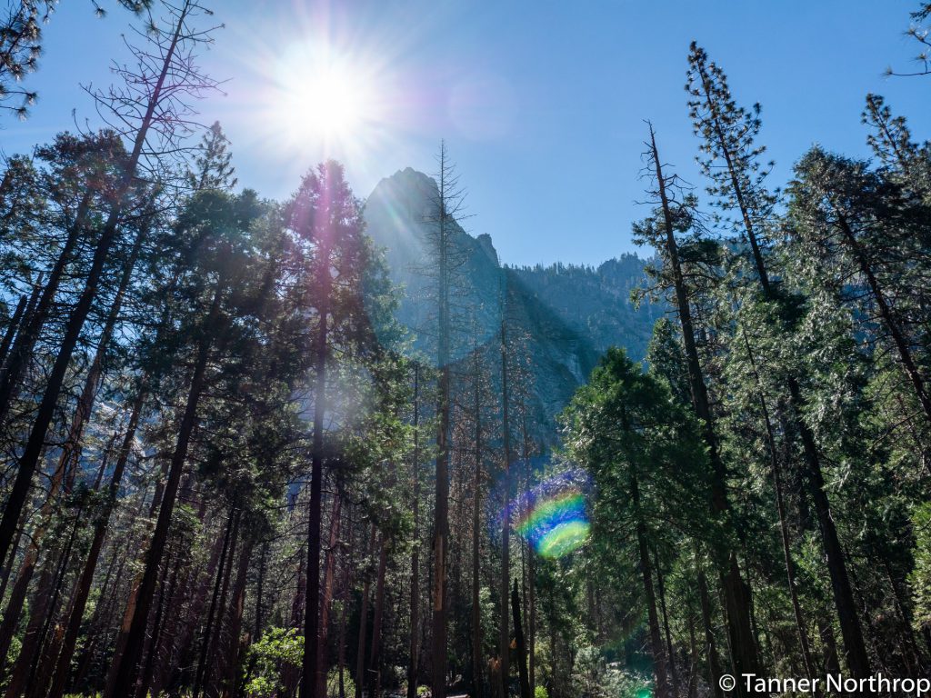 Yosemite