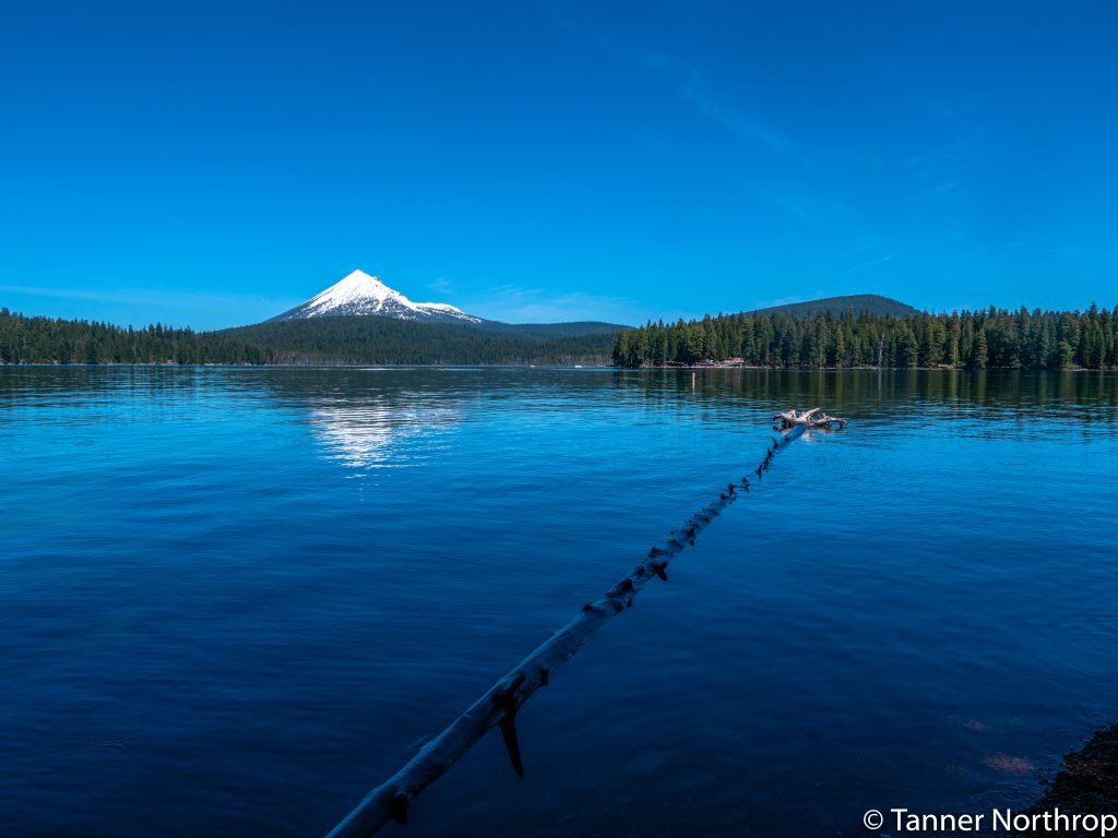 Lake of the woods